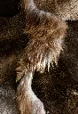 refuge_brun_zoom.webp