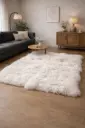 Le tapis Fjord